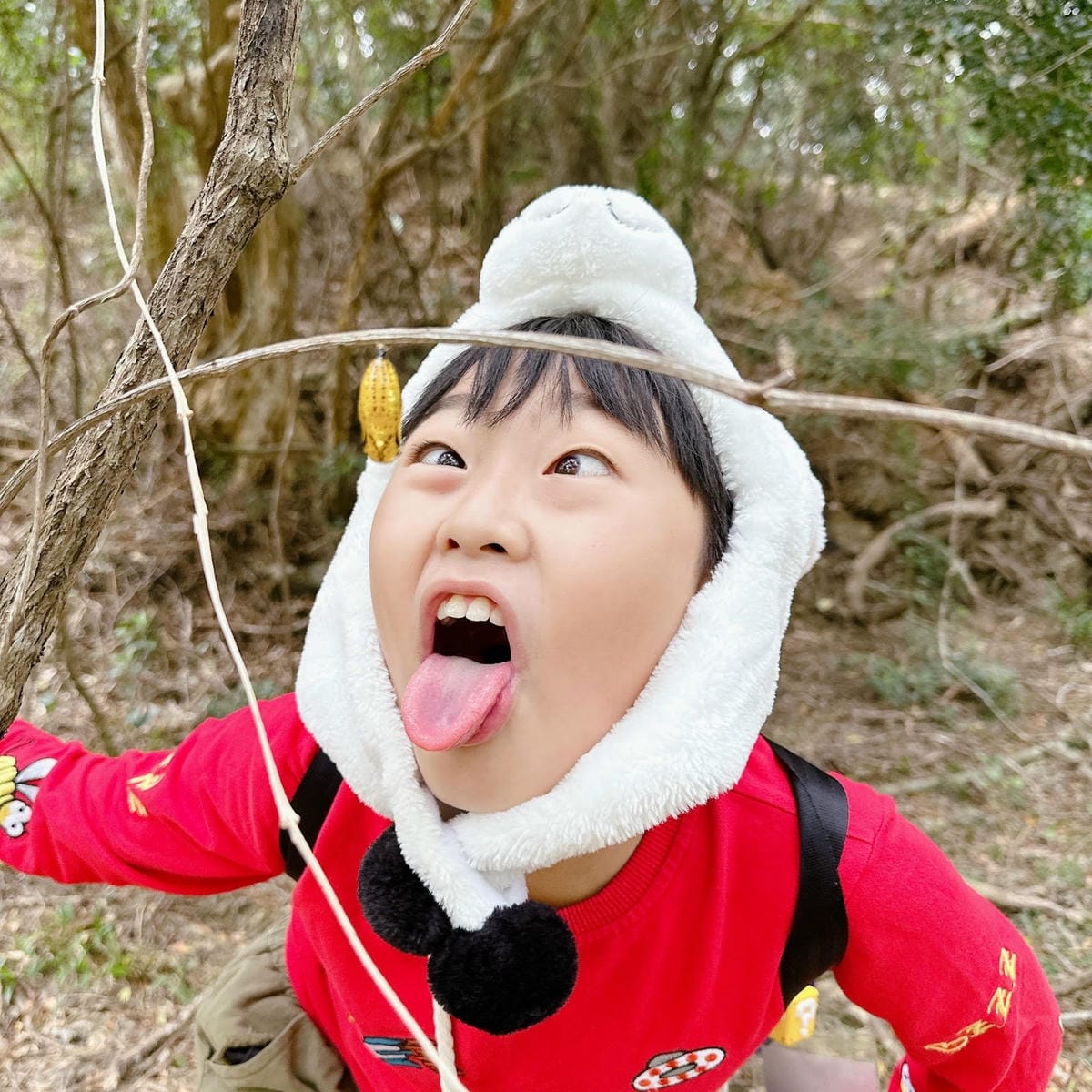 感受森林呼喊,一起到墾丁社頂公園深度旅遊,晚上再到港口社區找 感受森林呼喊,一起到墾丁社頂公園深度旅遊,晚上再到港口社區找