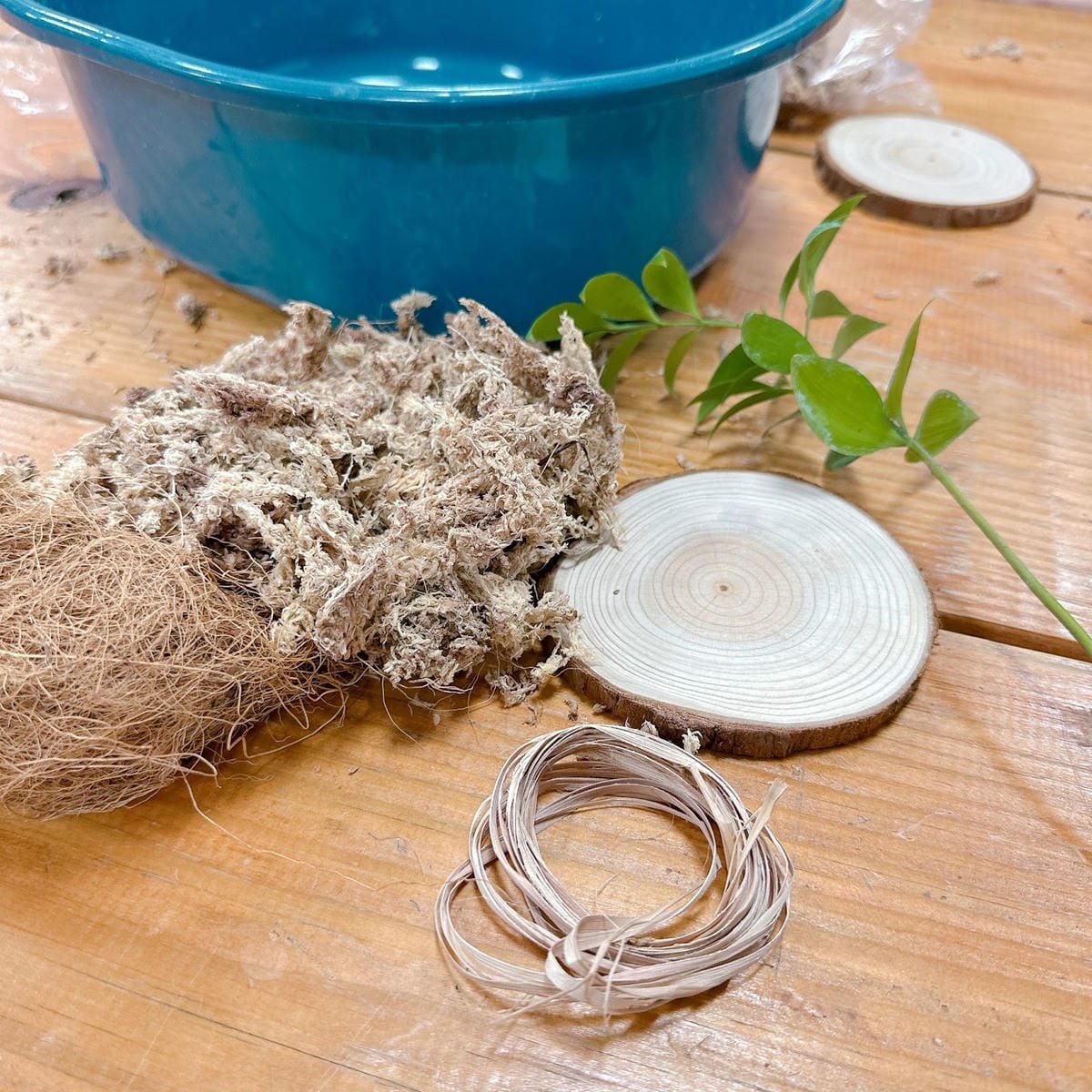 南台灣農遊推薦~旗山香蕉刮絲取纖、美濃水洗野蓮、六龜茶席體驗 南台灣農遊推薦~旗山香蕉刮絲取纖、美濃水洗野蓮、六龜茶席體驗
