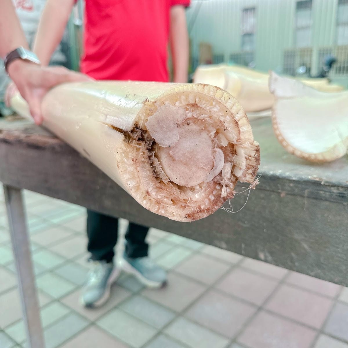 南台灣農遊推薦~旗山香蕉刮絲取纖、美濃水洗野蓮、六龜茶席體驗 南台灣農遊推薦~旗山香蕉刮絲取纖、美濃水洗野蓮、六龜茶席體驗