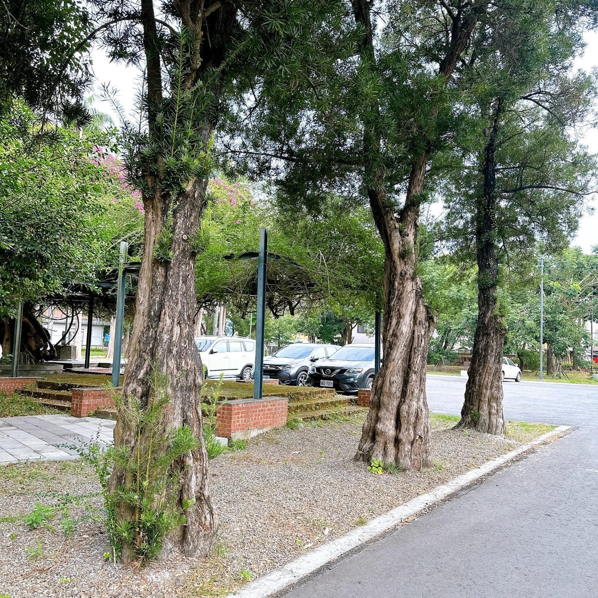 南台灣農遊推薦~旗山香蕉刮絲取纖、美濃水洗野蓮、六龜茶席體驗 南台灣農遊推薦~旗山香蕉刮絲取纖、美濃水洗野蓮、六龜茶席體驗