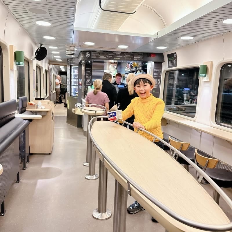 北歐之旅 芬蘭追極光去！入住極光玻璃屋、乘坐破冰船、星空夜臥