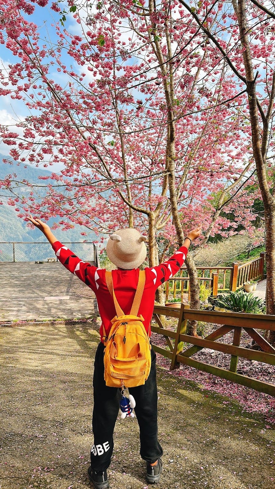 南投住宿推薦~抓住櫻花季的尾巴,快點衝清境新樂園民宿搶看櫻花 南投住宿推薦~抓住櫻花季的尾巴,快點衝清境新樂園民宿搶看櫻花