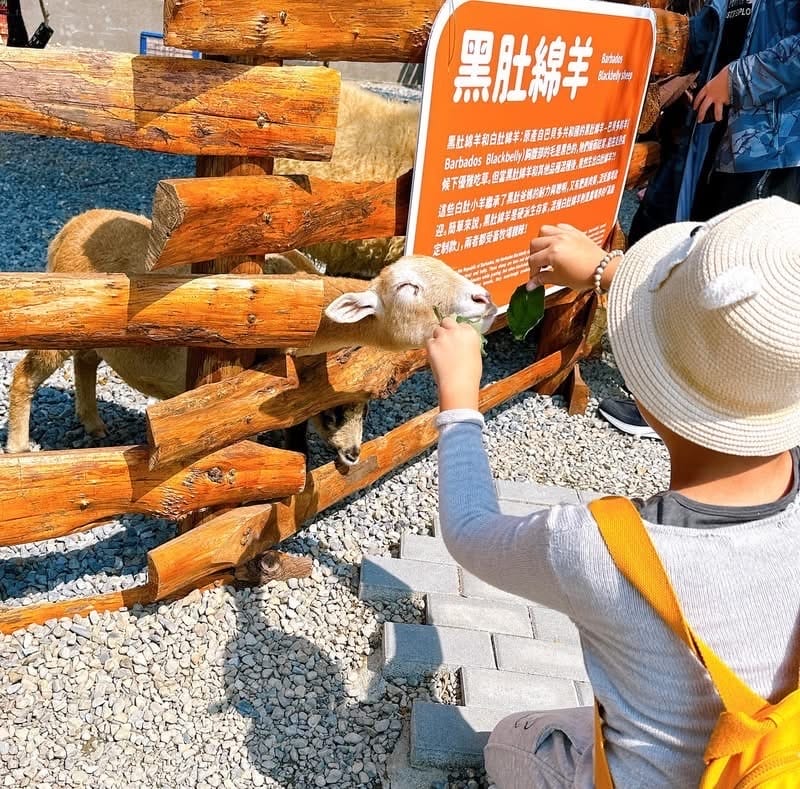 南投鹿谷最新景點推薦~鹿芝谷生態景觀園區 遊玩攻略看這裡! 南投鹿谷最新景點推薦~鹿芝谷生態景觀園區 遊玩攻略看這裡!