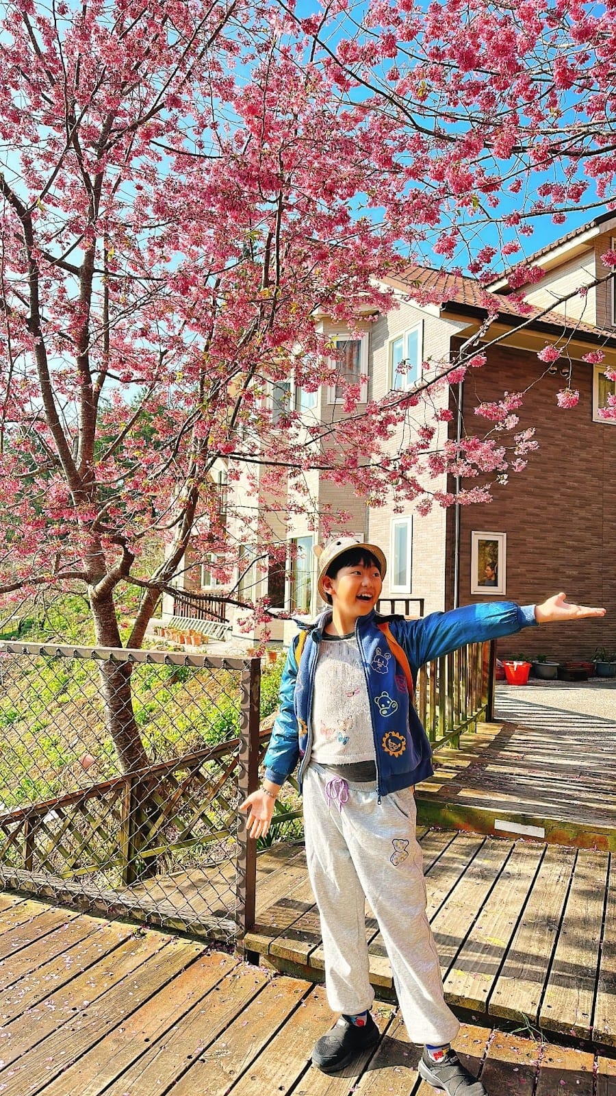 南投住宿推薦~抓住櫻花季的尾巴,快點衝清境新樂園民宿搶看櫻花 南投住宿推薦~抓住櫻花季的尾巴,快點衝清境新樂園民宿搶看櫻花