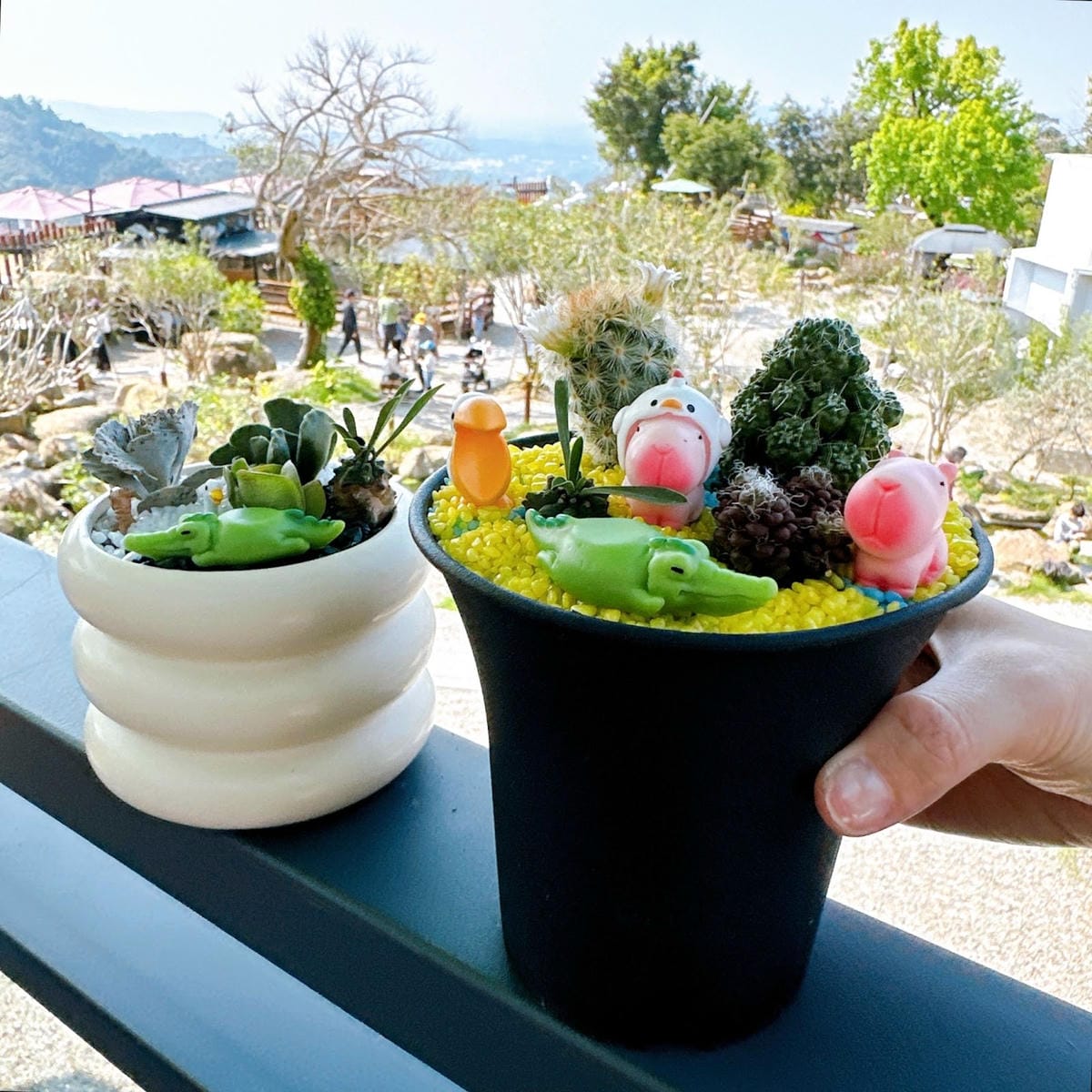 南投鹿谷最新景點推薦~鹿芝谷生態景觀園區 遊玩攻略看這裡! 南投鹿谷最新景點推薦~鹿芝谷生態景觀園區 遊玩攻略看這裡!