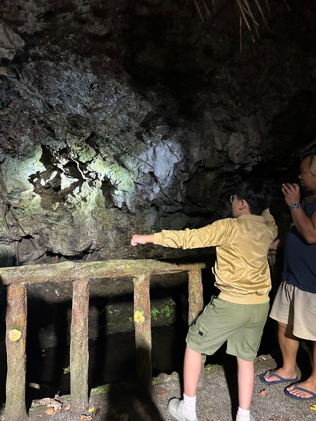 綠島無腦旅遊三天兩夜這樣玩~享用綠島海草系美食、船票、租借機 綠島無腦旅遊三天兩夜這樣玩~享用綠島海草系美食、船票、租借機