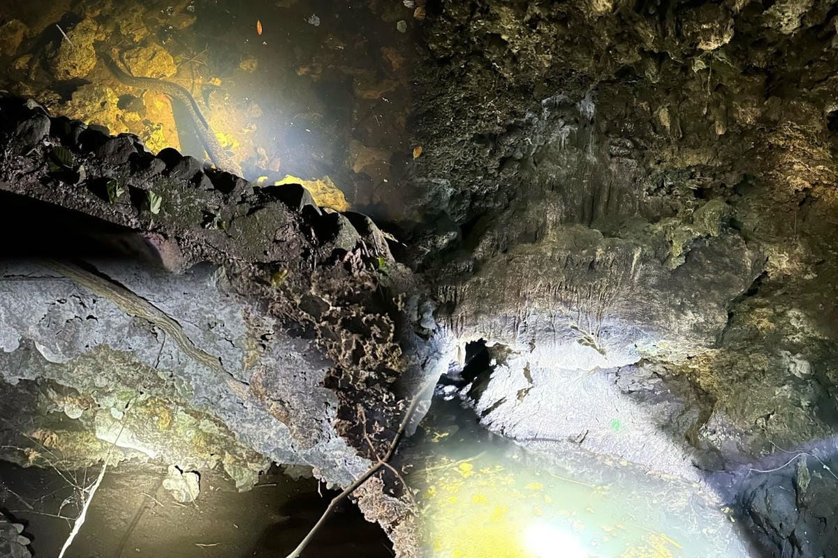 綠島無腦旅遊三天兩夜這樣玩～享用綠島海草系美食、船票、租借機