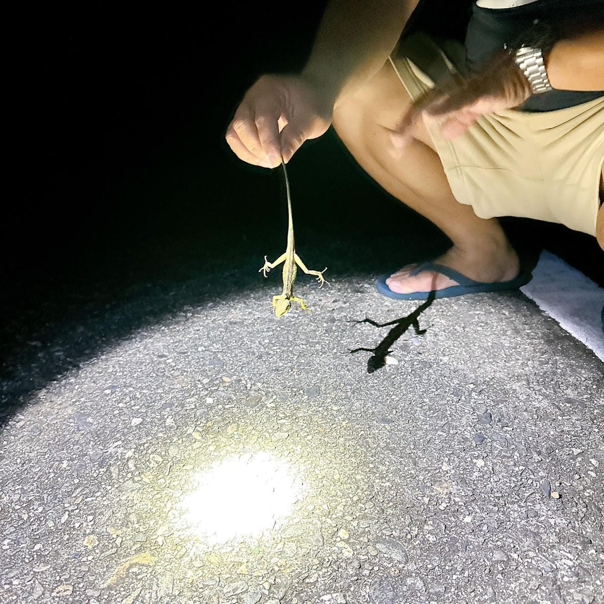 綠島無腦旅遊三天兩夜這樣玩~享用綠島海草系美食、船票、租借機 綠島無腦旅遊三天兩夜這樣玩~享用綠島海草系美食、船票、租借機
