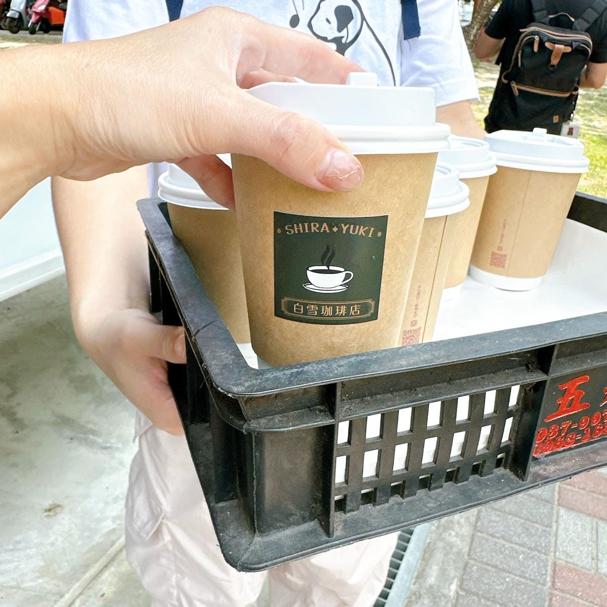 台南熱門的紅樹林遊船不再人擠人，到四鯤鯓 鯤鯓湖坐紅樹林生態