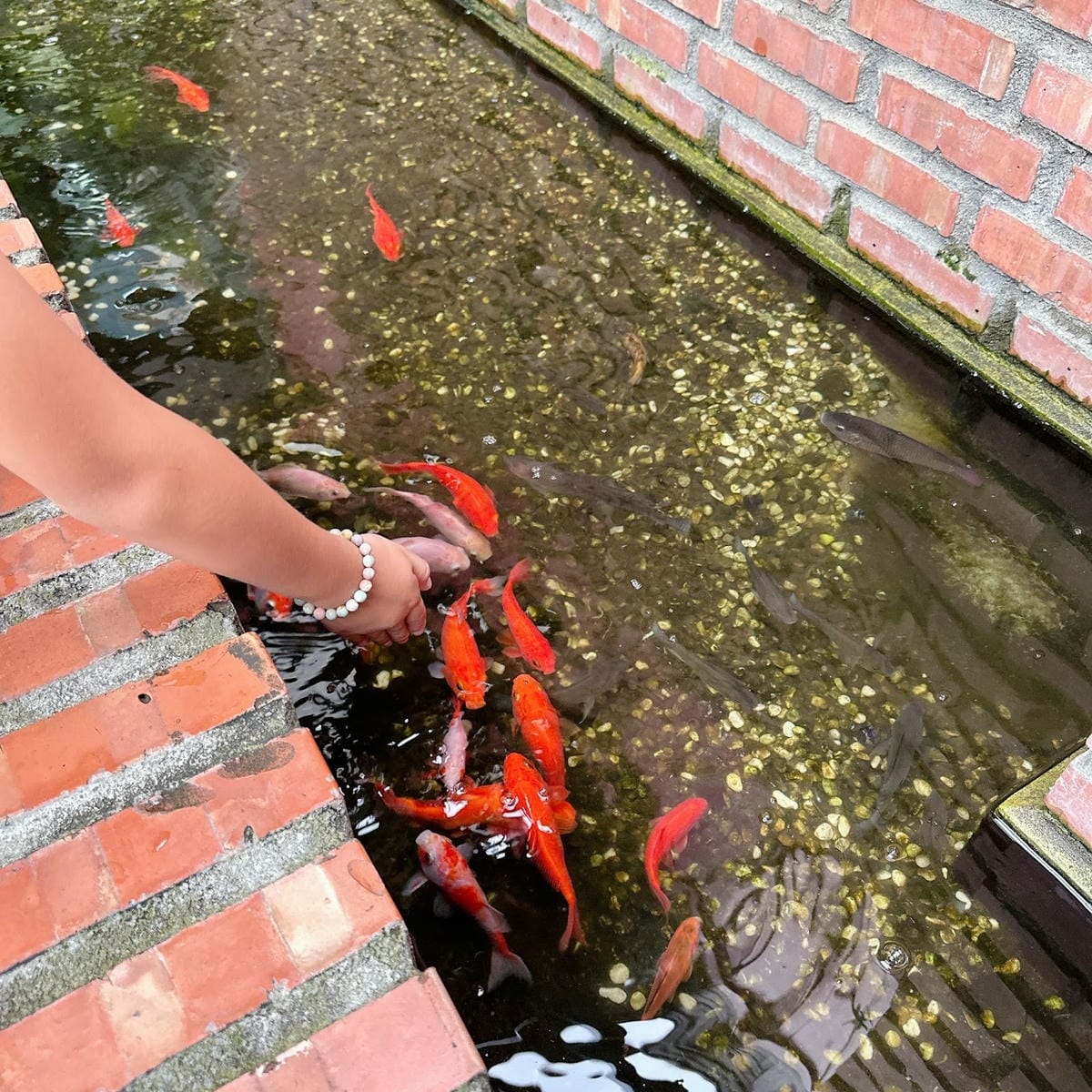 彰化鹿港免費景點推薦～ 沉浸在緞帶王觀光工廠手作的世界裡，邊