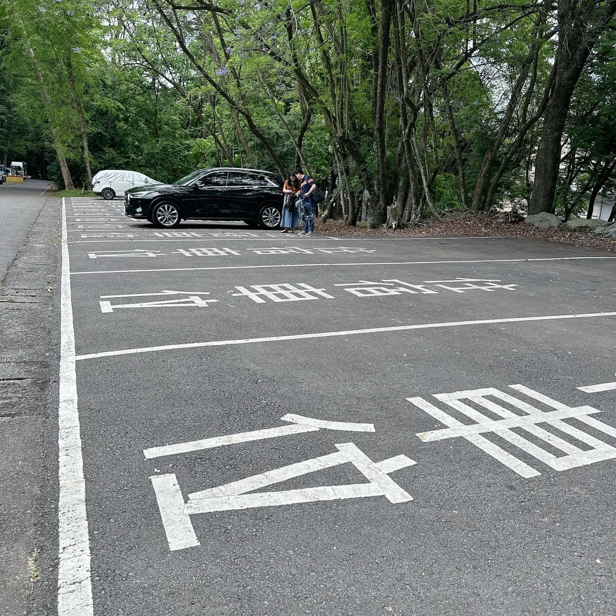 南投住宿推薦~ 登山客的天堂~雲想和社山林 讓人輕鬆擁抱大自 南投住宿推薦~ 登山客的天堂~雲想和社山林 讓人輕鬆擁抱大自