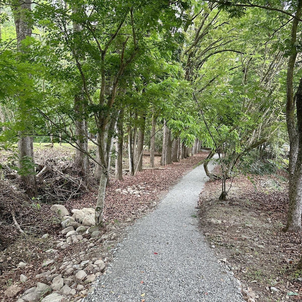 南投住宿推薦~ 登山客的天堂~雲想和社山林 讓人輕鬆擁抱大自 南投住宿推薦~ 登山客的天堂~雲想和社山林 讓人輕鬆擁抱大自