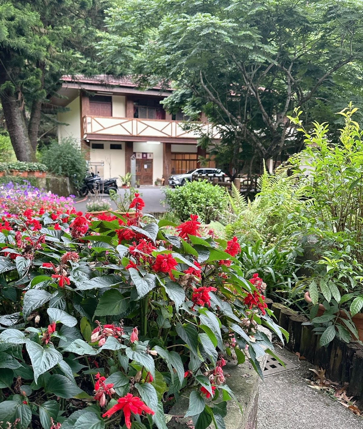 南投住宿推薦~ 登山客的天堂~雲想和社山林 讓人輕鬆擁抱大自 南投住宿推薦~ 登山客的天堂~雲想和社山林 讓人輕鬆擁抱大自