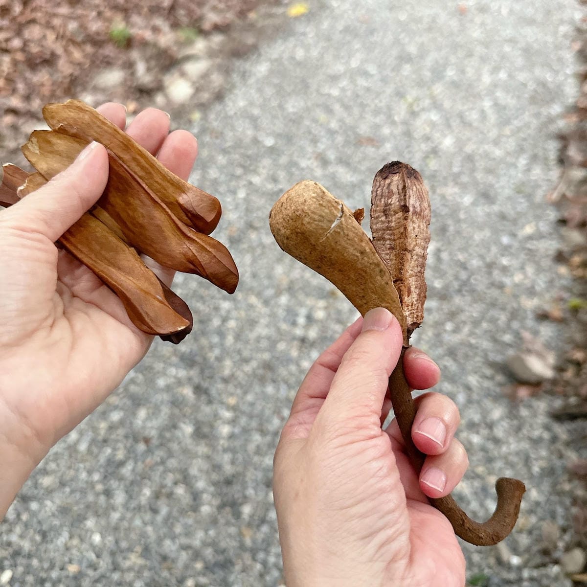 南投住宿推薦~ 登山客的天堂~雲想和社山林 讓人輕鬆擁抱大自 南投住宿推薦~ 登山客的天堂~雲想和社山林 讓人輕鬆擁抱大自