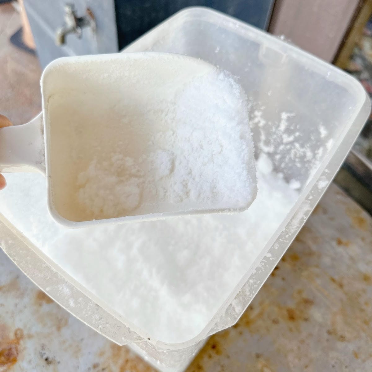 高雄吃到飽推薦 野饌燒肉楠梓店 實現活泰國蝦、火鍋、燒肉吃的 高雄吃到飽推薦 野饌燒肉楠梓店 實現活泰國蝦、火鍋、燒肉吃的