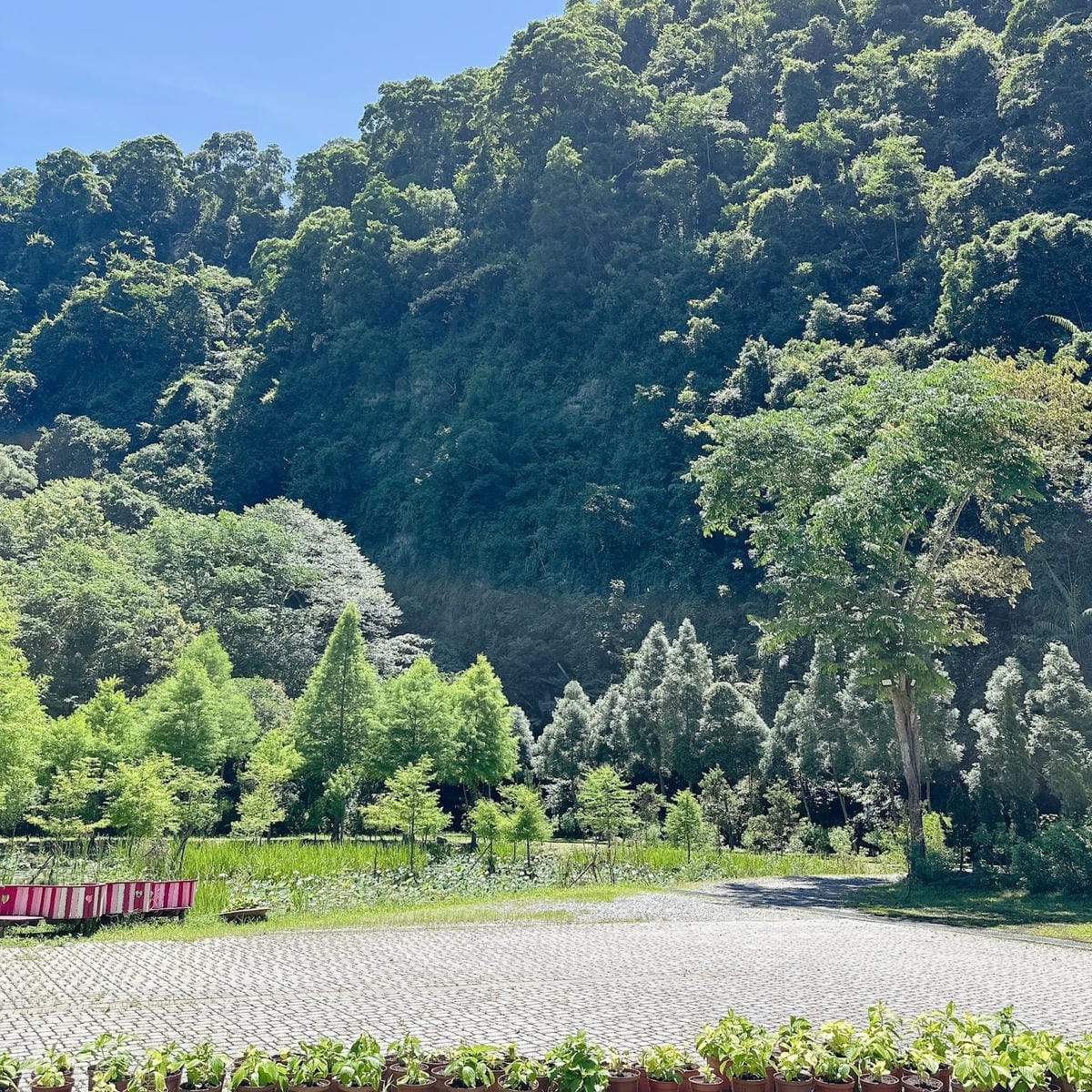 暑假哪裡玩？到安妮公主花園 參加王子和公主的一日體驗～在大自