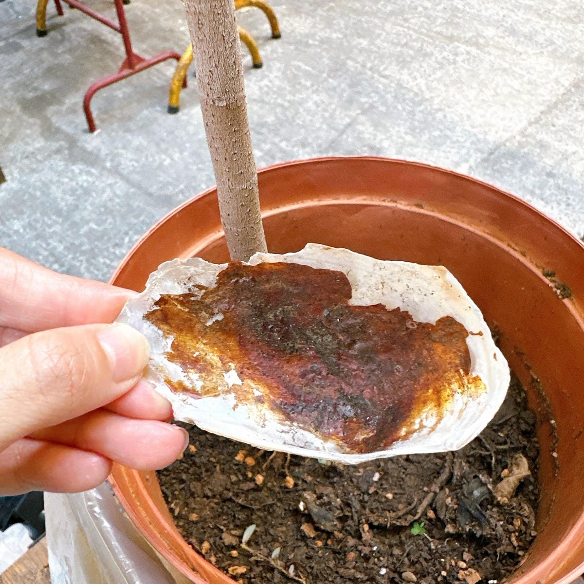 伴手禮推薦 水圳流轉~豐原百年走讀小旅行 一起大啖豐原知名送