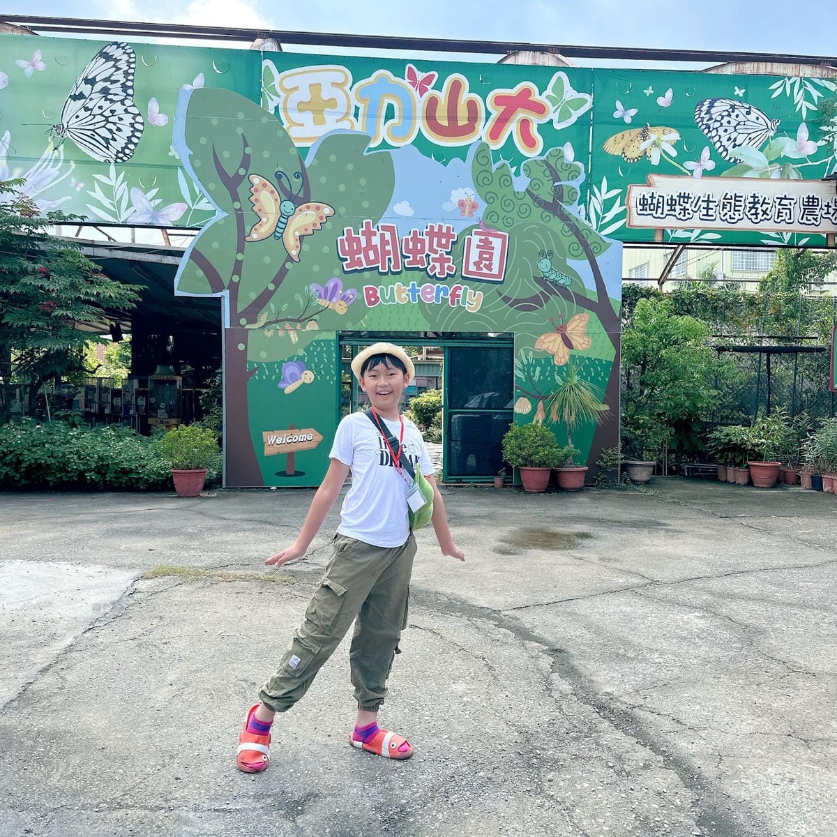 亞力山大蝴蝶生態教育農場 標本DIY、羊咩咩餵食秀、焢窯大餐