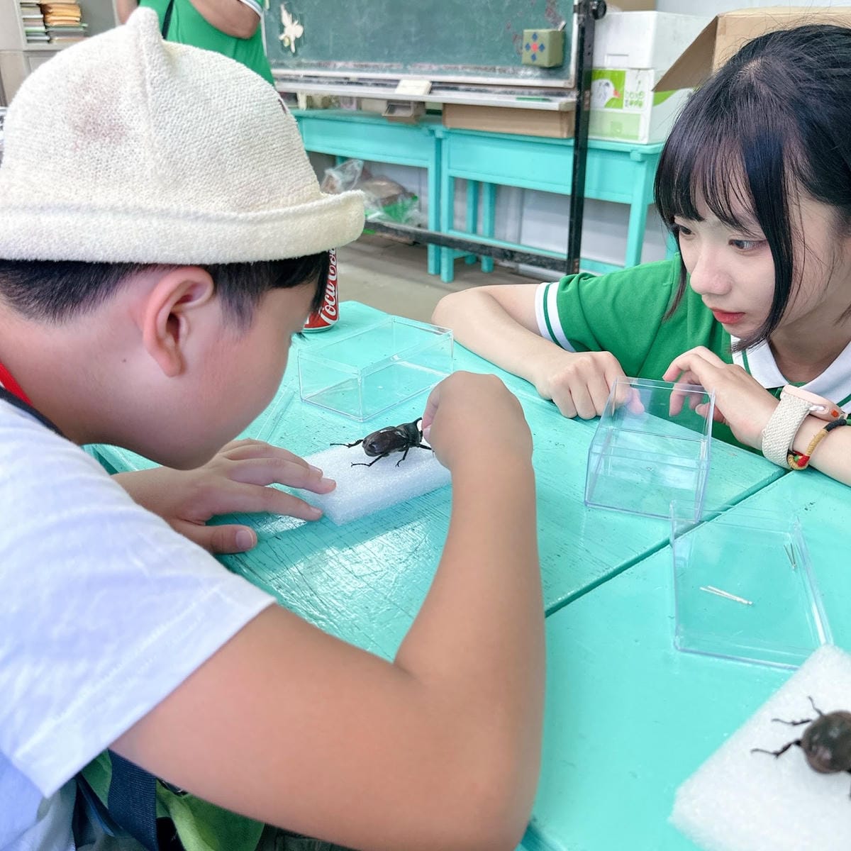 亞力山大蝴蝶生態教育農場 標本DIY、羊咩咩餵食秀、焢窯大餐