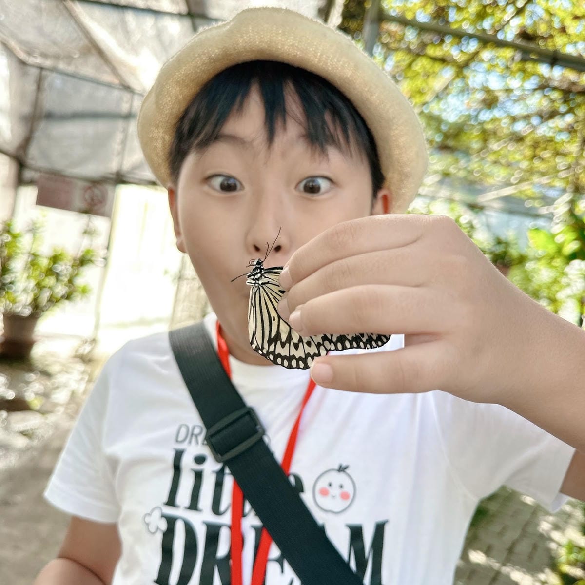 亞力山大蝴蝶生態教育農場 標本DIY、羊咩咩餵食秀、焢窯大餐