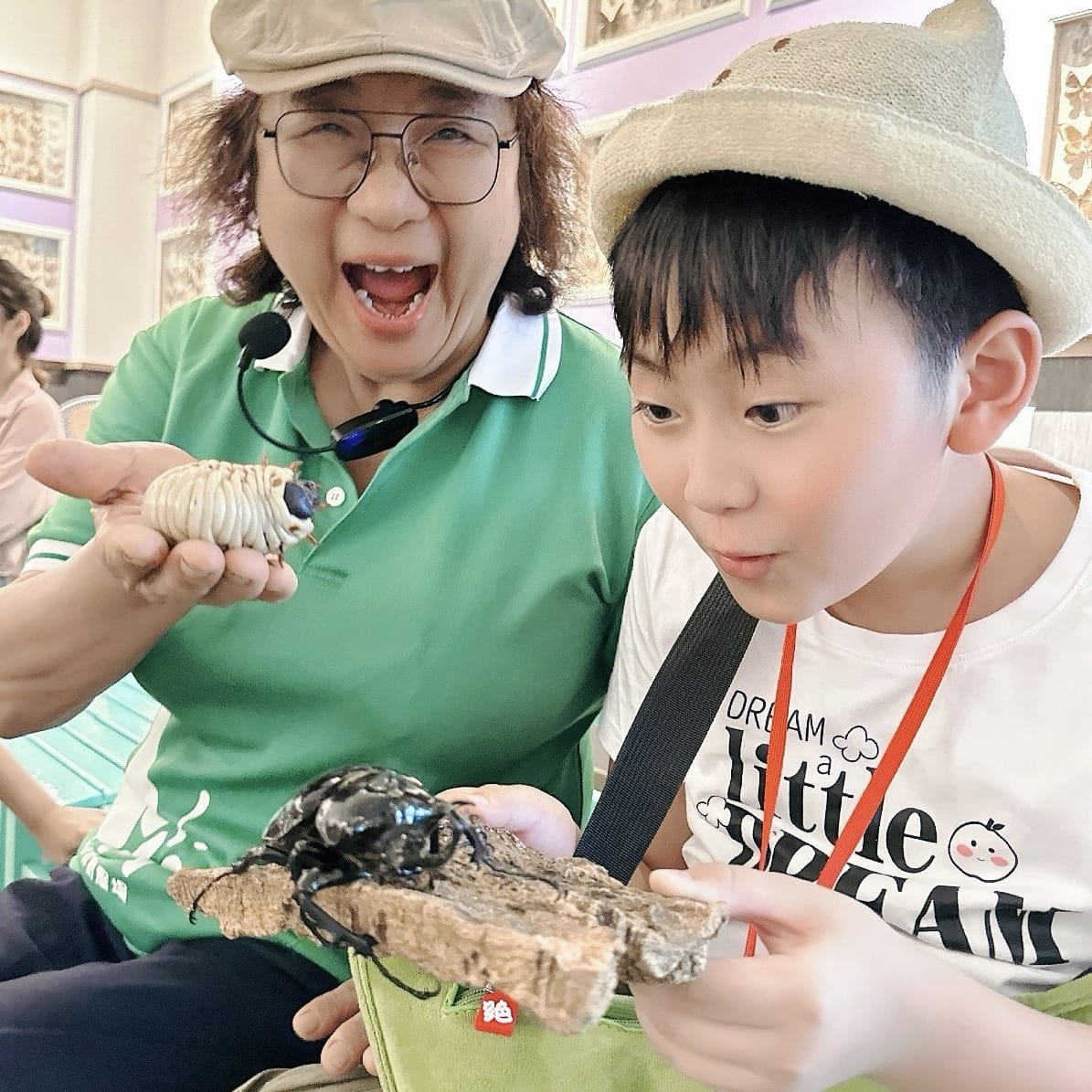 亞力山大蝴蝶生態教育農場 標本DIY、羊咩咩餵食秀、焢窯大餐