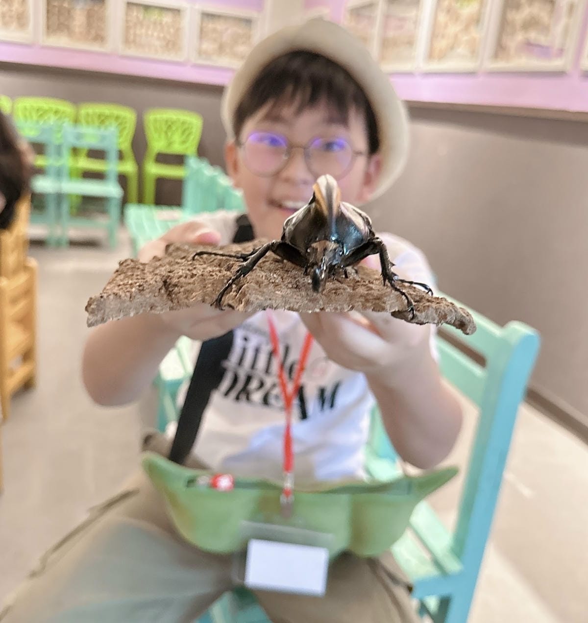 亞力山大蝴蝶生態教育農場 標本DIY、羊咩咩餵食秀、焢窯大餐