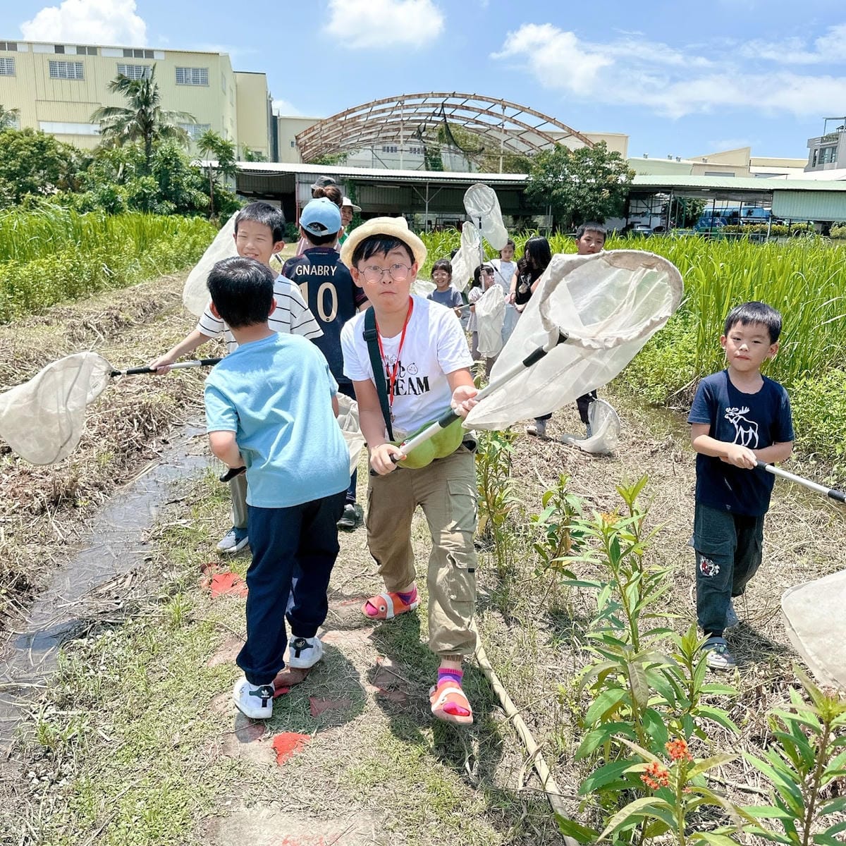 亞力山大蝴蝶生態教育農場 標本DIY、羊咩咩餵食秀、焢窯大餐