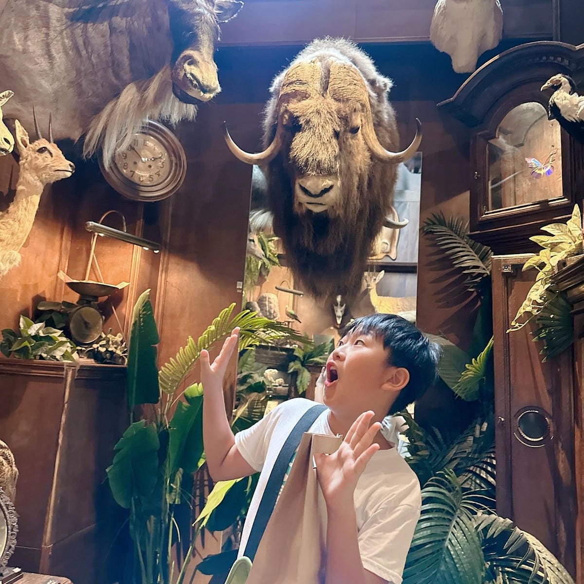 台南老屋住宿推薦 知名免門票景點 仰角舶物就在隔壁啦~小南天 台南老屋住宿推薦 知名免門票景點 仰角舶物就在隔壁啦~小南天