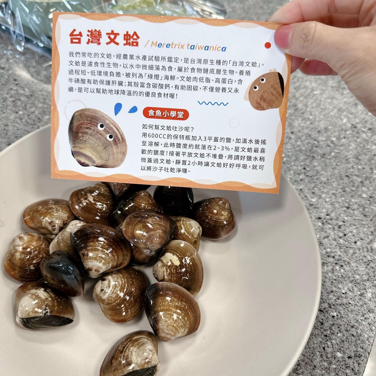 台中魚市場煑魚所開課啦!《蛤?原來你這麼神!》超鮮的親子海鮮 台中魚市場煑魚所開課啦!《蛤?原來你這麼神!》超鮮的親子海鮮