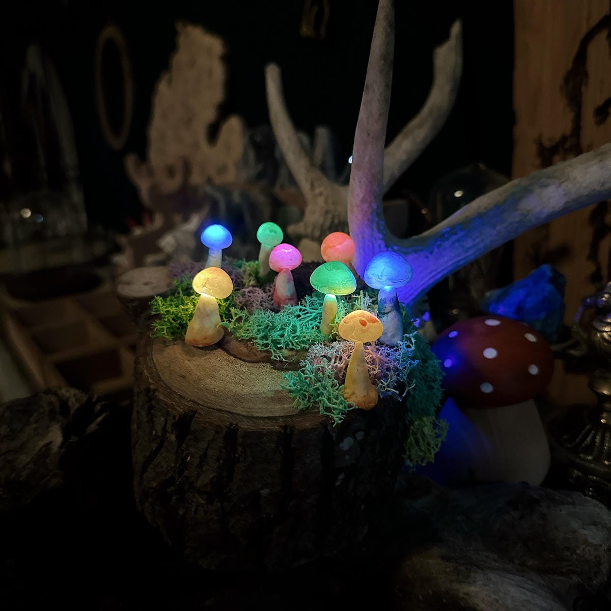 台北手作推薦 小班制手作 Mrs tree studio 點 台北手作推薦 小班制手作 Mrs tree studio 點