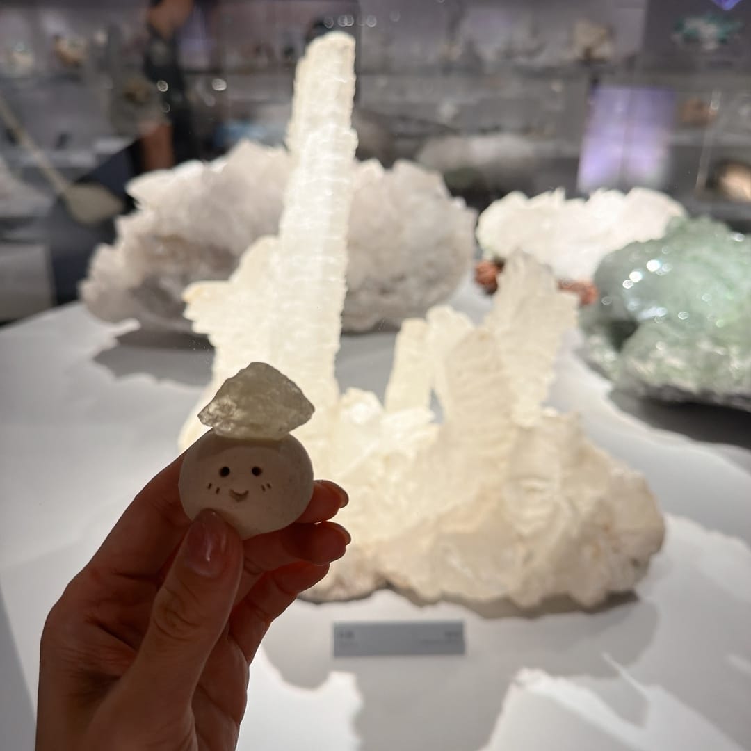 國立自然科學博物館 大地瑰寶展 驚見阿姆斯壯登月的月岩啦! 國立自然科學博物館 大地瑰寶展 驚見阿姆斯壯登月的月岩啦!