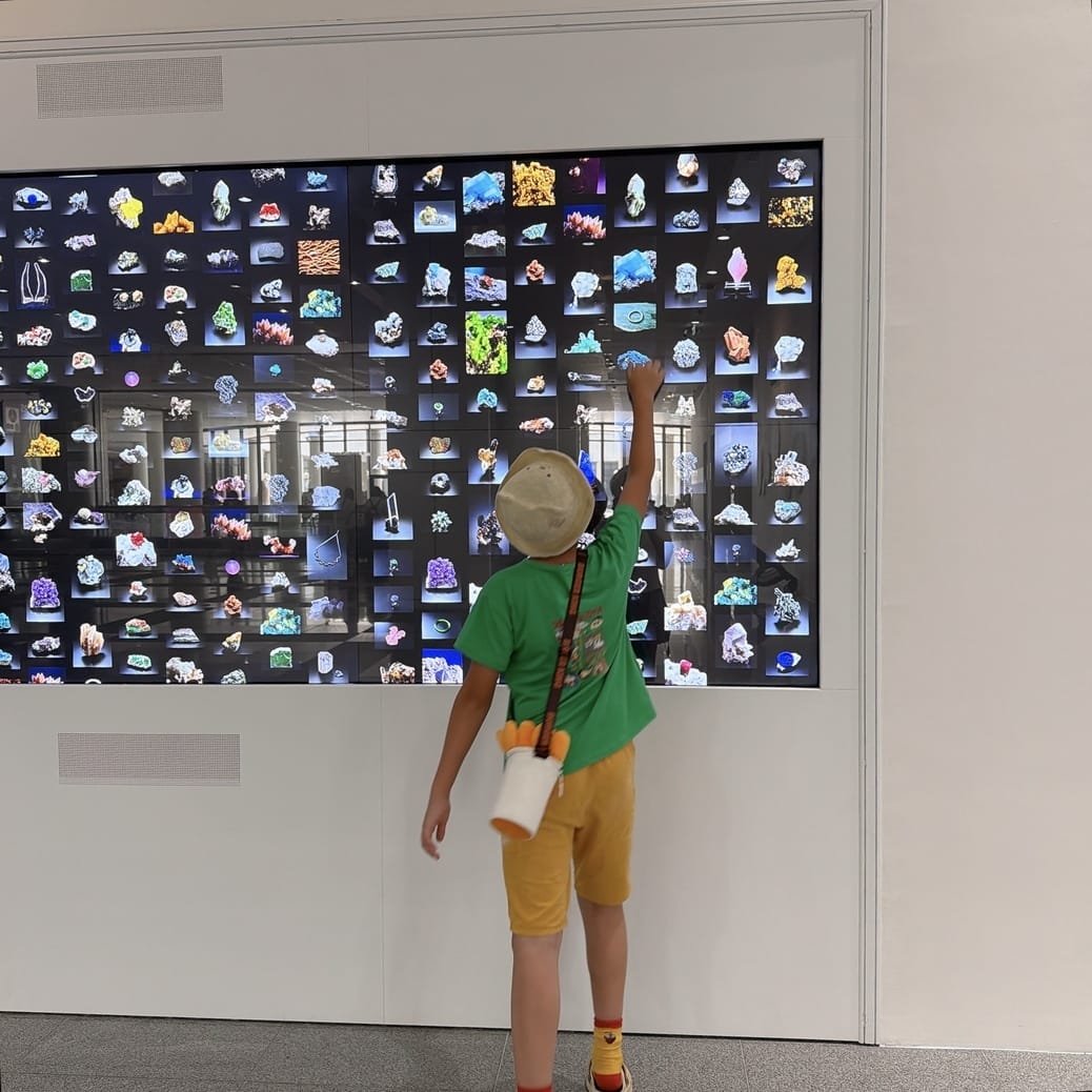 國立自然科學博物館 大地瑰寶展 驚見阿姆斯壯登月的月岩啦! 國立自然科學博物館 大地瑰寶展 驚見阿姆斯壯登月的月岩啦!