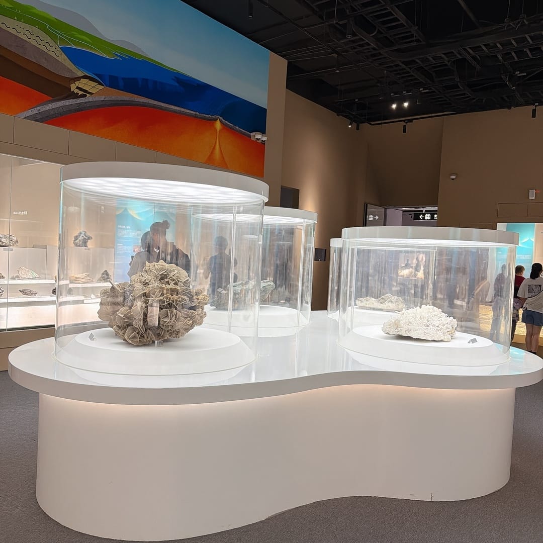 國立自然科學博物館 大地瑰寶展 驚見阿姆斯壯登月的月岩啦！