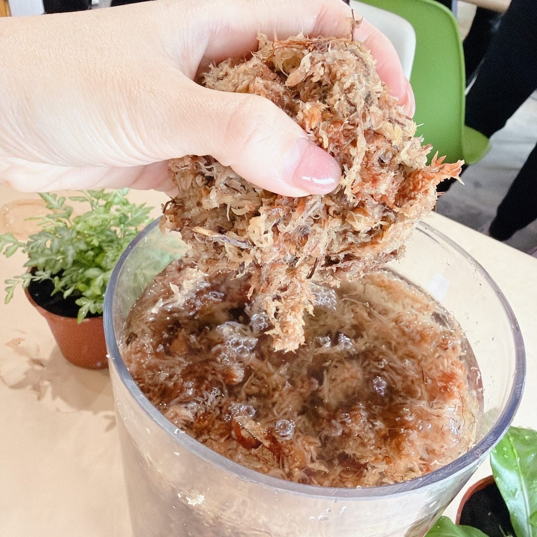 親子旅遊推薦 中台灣好玩卡 南投省府日常散策豐富一日遊程只要 親子旅遊推薦 中台灣好玩卡 南投省府日常散策豐富一日遊程只要