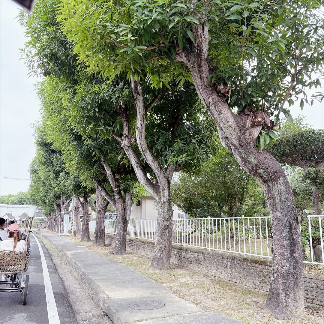 親子旅遊推薦 中台灣好玩卡 南投省府日常散策豐富一日遊程只要 親子旅遊推薦 中台灣好玩卡 南投省府日常散策豐富一日遊程只要