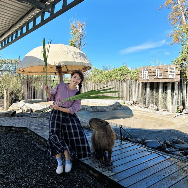 四重溪溫泉季開跑啦!超美燈光藝術一定要來朝聖~在戀戀茴香住上 四重溪溫泉季開跑啦!超美燈光藝術一定要來朝聖~在戀戀茴香住上