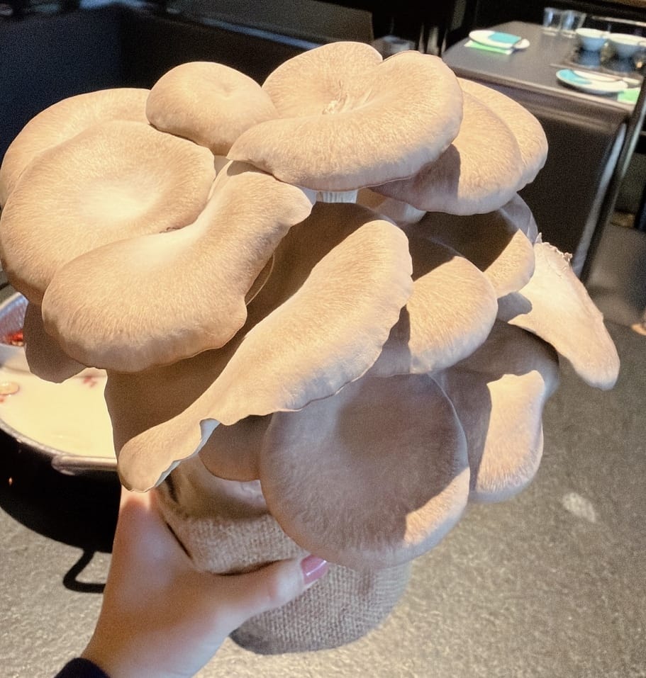 信義 ATT 4 FUN 火鍋推薦 撈王鍋物料理 現熬鍋底、 信義 ATT 4 FUN 火鍋推薦 撈王鍋物料理 現熬鍋底、