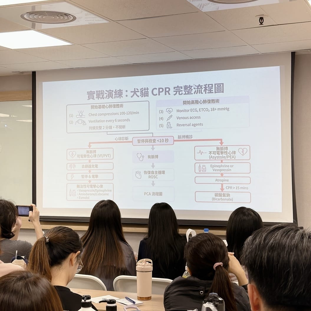 光曜寵物美容教學中心 把喜歡的毛孩變專業，學習實用的美容教學