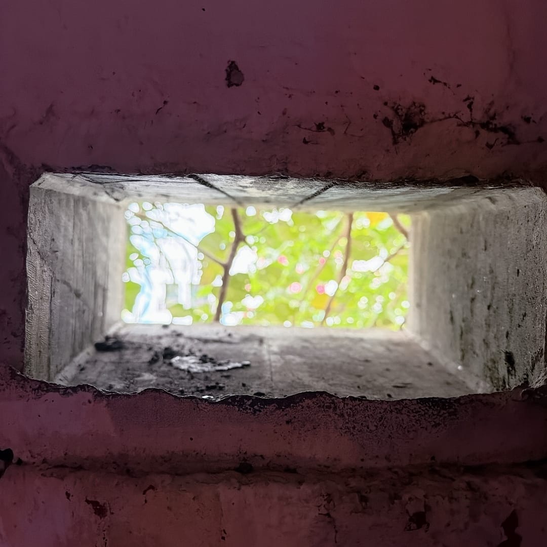 花蓮兩天一夜小資旅遊~入住洄瀾窩青年旅館、到漁市場體驗手作林 花蓮兩天一夜小資旅遊~入住洄瀾窩青年旅館、到漁市場體驗手作林