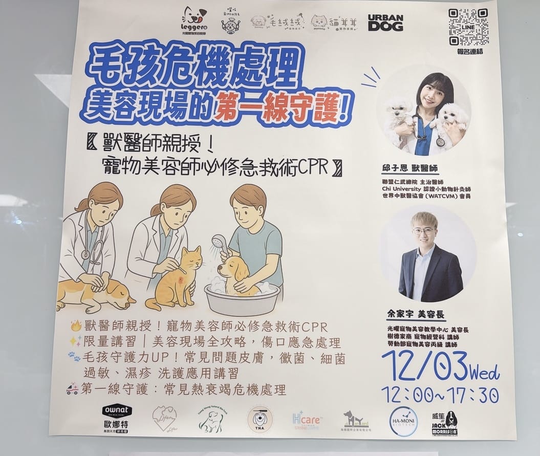 光曜寵物美容教學中心 把喜歡的毛孩變專業，學習實用的美容教學