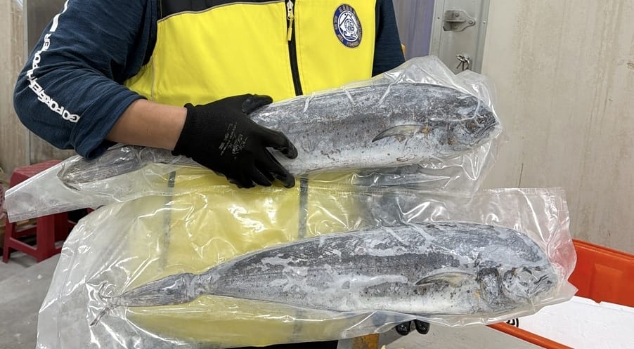 花蓮休閒漁業廊道親子行～到洄遊吧品嚐永續鮮魚點心、立川漁場大