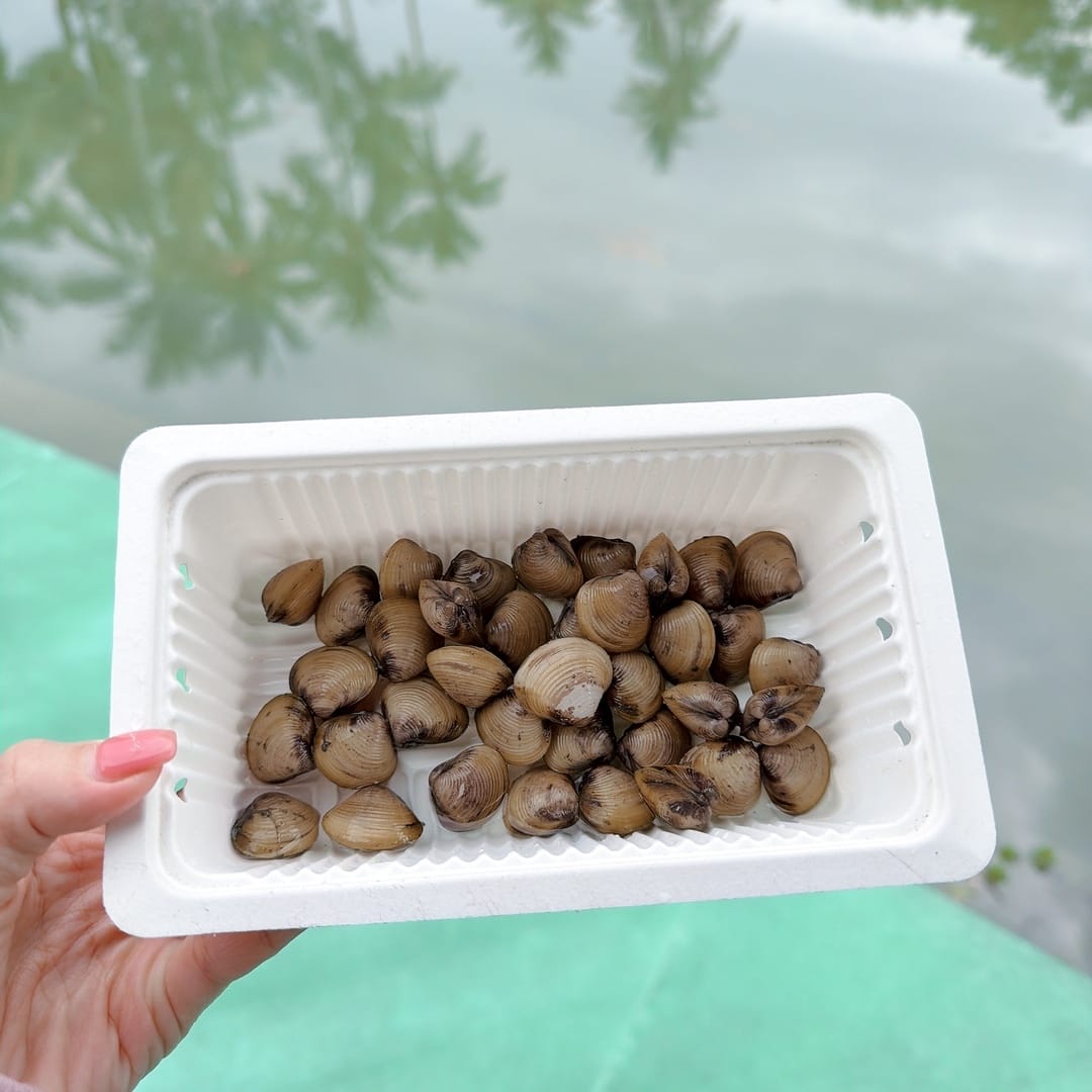 花蓮休閒漁業廊道親子行～到洄遊吧品嚐永續鮮魚點心、立川漁場大