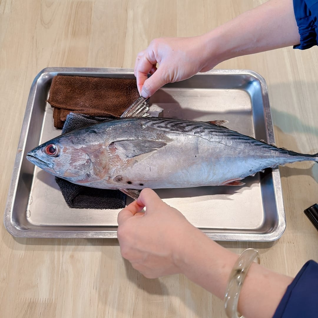 花蓮休閒漁業廊道親子行～到洄遊吧品嚐永續鮮魚點心、立川漁場大