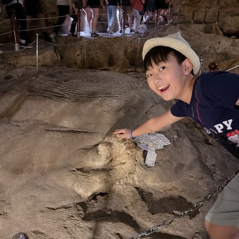 親子旅遊首選 允陽旅行社奢華北越靜謐之旅 沙壩下龍灣五日小團精緻遊，享受自由行的放鬆和全包式的服務，真的好輕鬆～