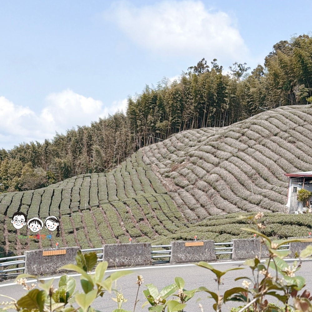 阿里山住宿推薦~感受沉浸在雲海中的療癒氛圍,就入住宣信民宿獨享山中美景吧! - 第16張圖 阿里山住宿推薦~感受沉浸在雲海中的療癒氛圍,就入住宣信民宿獨享山中美景吧!