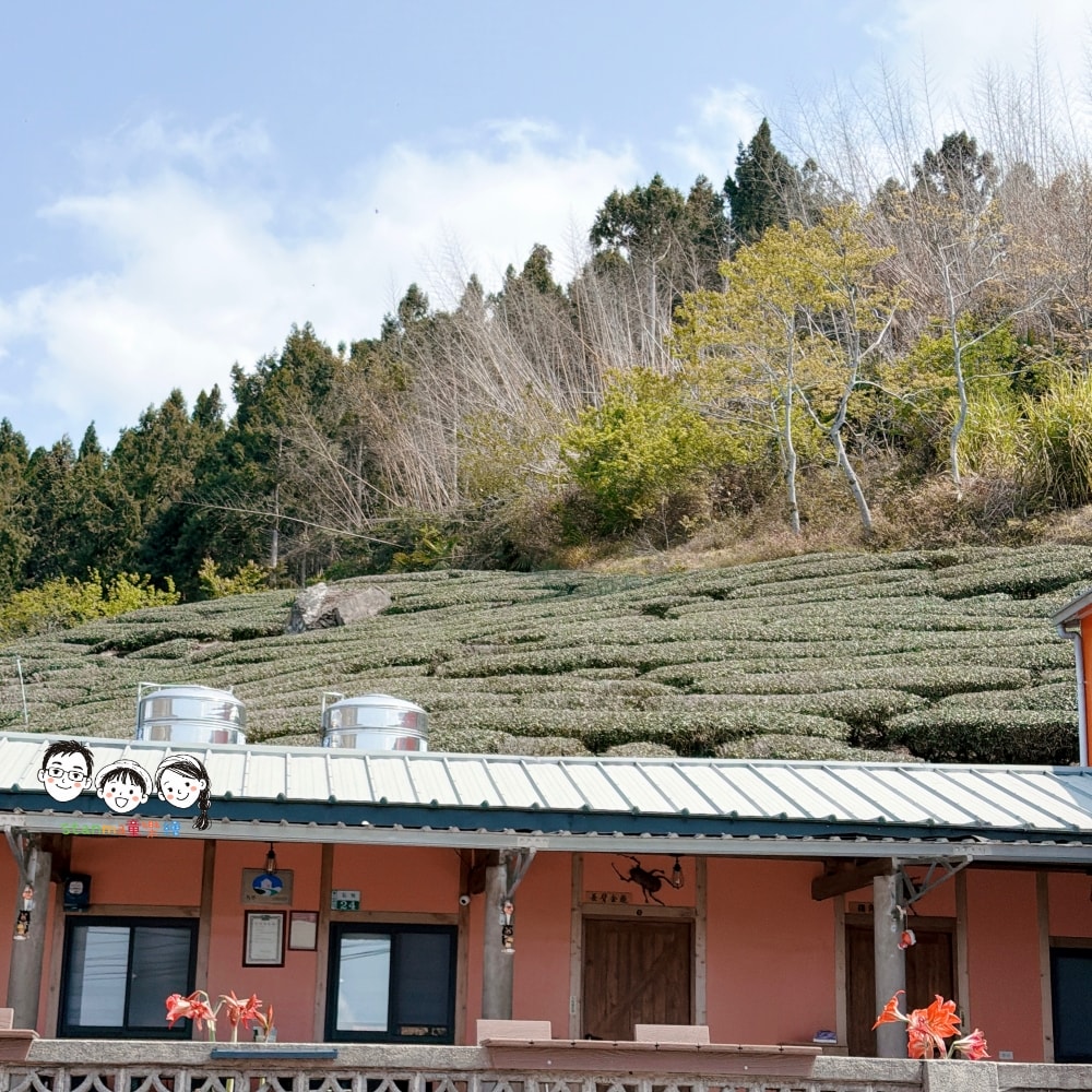 阿里山住宿推薦~感受沉浸在雲海中的療癒氛圍,就入住宣信民宿獨享山中美景吧! - 第5張圖 阿里山住宿推薦~感受沉浸在雲海中的療癒氛圍,就入住宣信民宿獨享山中美景吧!