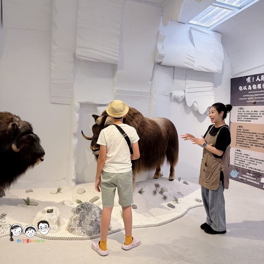星期三入場免費(還有限量明信片免費拿)免衝泰國、非洲，長頸鹿吉普車、非洲大遷徙動物群都在獅子住裡面 The Lion’s Den裡！