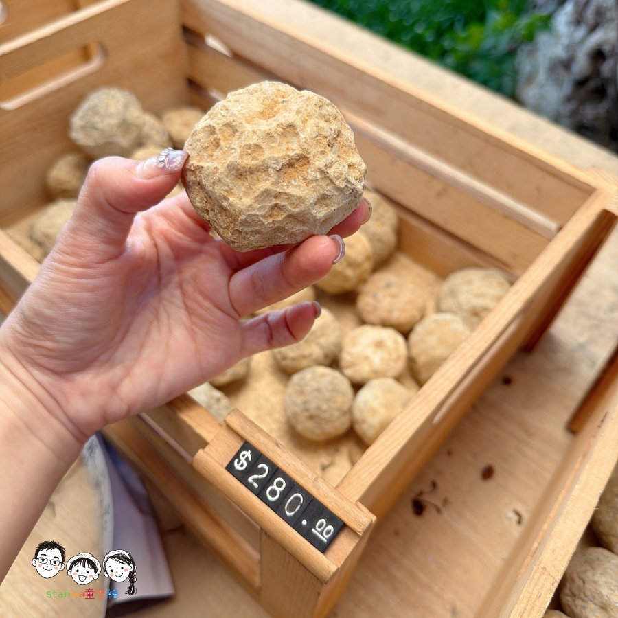 【台南免費景點】台南人也不知道的隱藏玩法！安平東興洋行免門票，皮革戒指「0元體驗」，大人小孩都玩瘋！