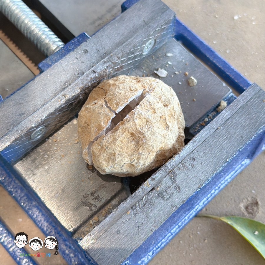 【台南免費景點】台南人也不知道的隱藏玩法！安平東興洋行免門票，皮革戒指「0元體驗」，大人小孩都玩瘋！